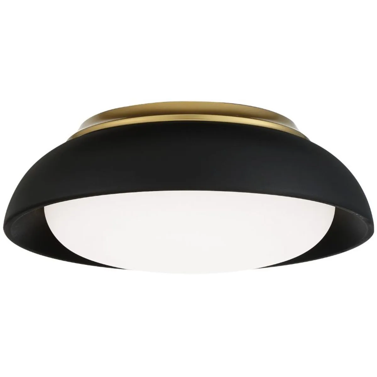 12 in. LED Flush Mount Light Black finish