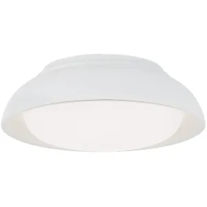 12 in. LED Flush Mount Light White finish