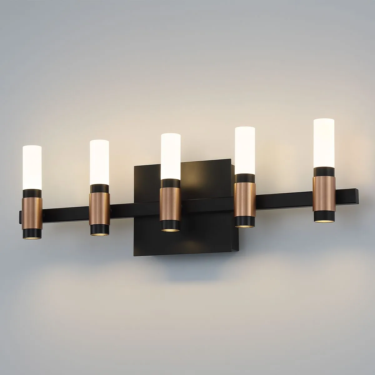 Albany 10 Lights 20 in. LED Vanity Light Black & Brass Finish