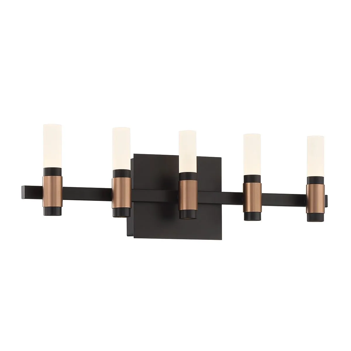 Albany 10 Lights 20 in. LED Vanity Light Black & Brass Finish