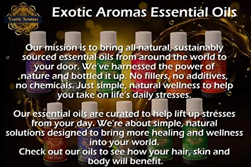 Exotic Aromas Rosemary Oil for Hair Growth,Essential Oil for Skin, Aromatherapy 100% Pure & Natural (15 Ml 15 Ml) Pack of 2