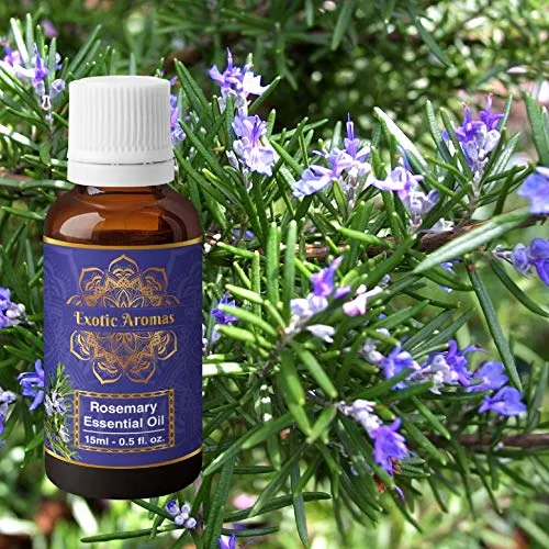 Exotic Aromas Rosemary Oil for Hair Growth,Essential Oil for Skin, Aromatherapy 100% Pure & Natural (15 Ml 15 Ml) Pack of 2