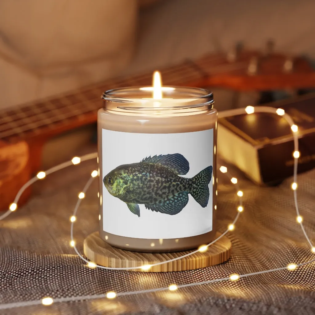 Golden Fish Scented Candle, 9oz