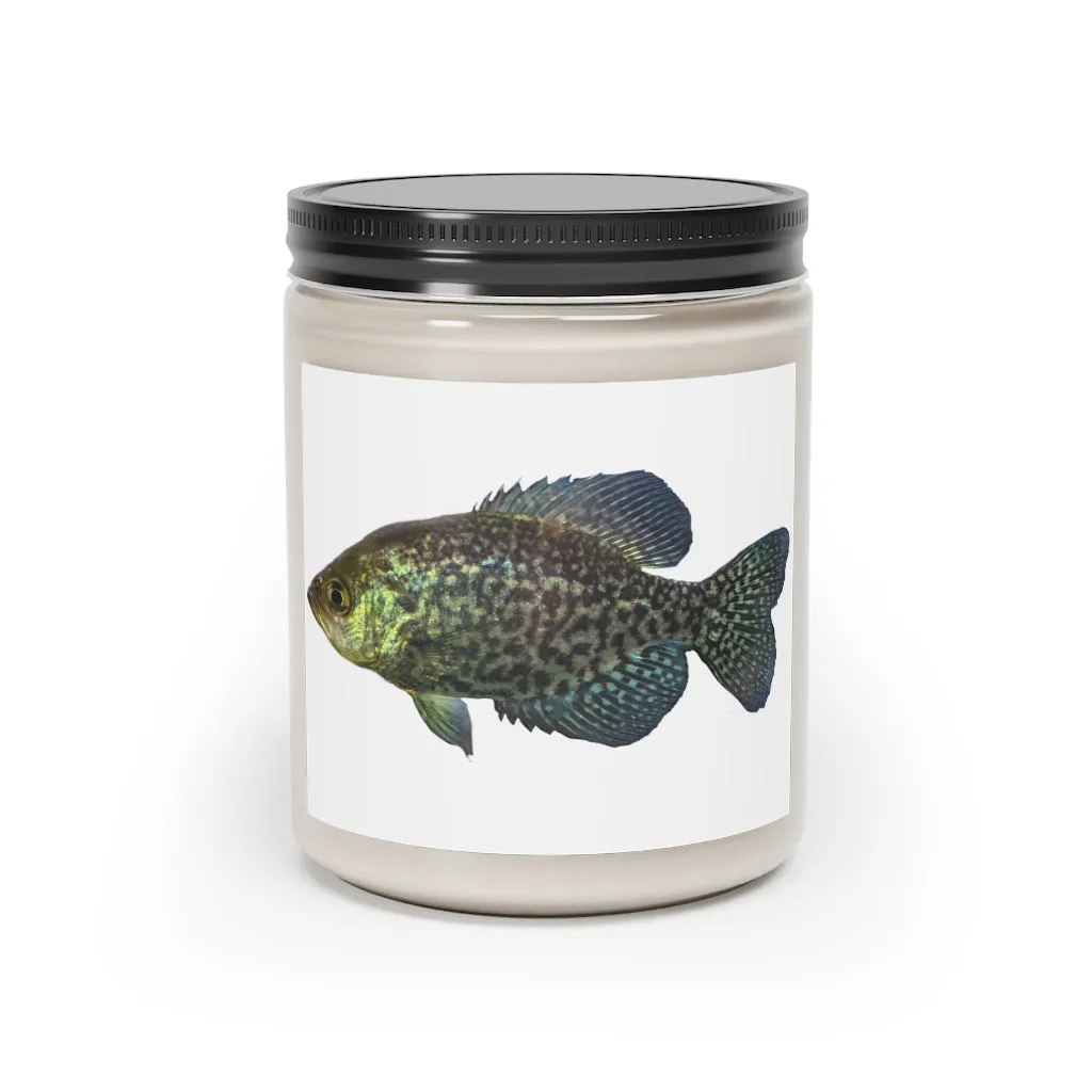 Golden Fish Scented Candle, 9oz