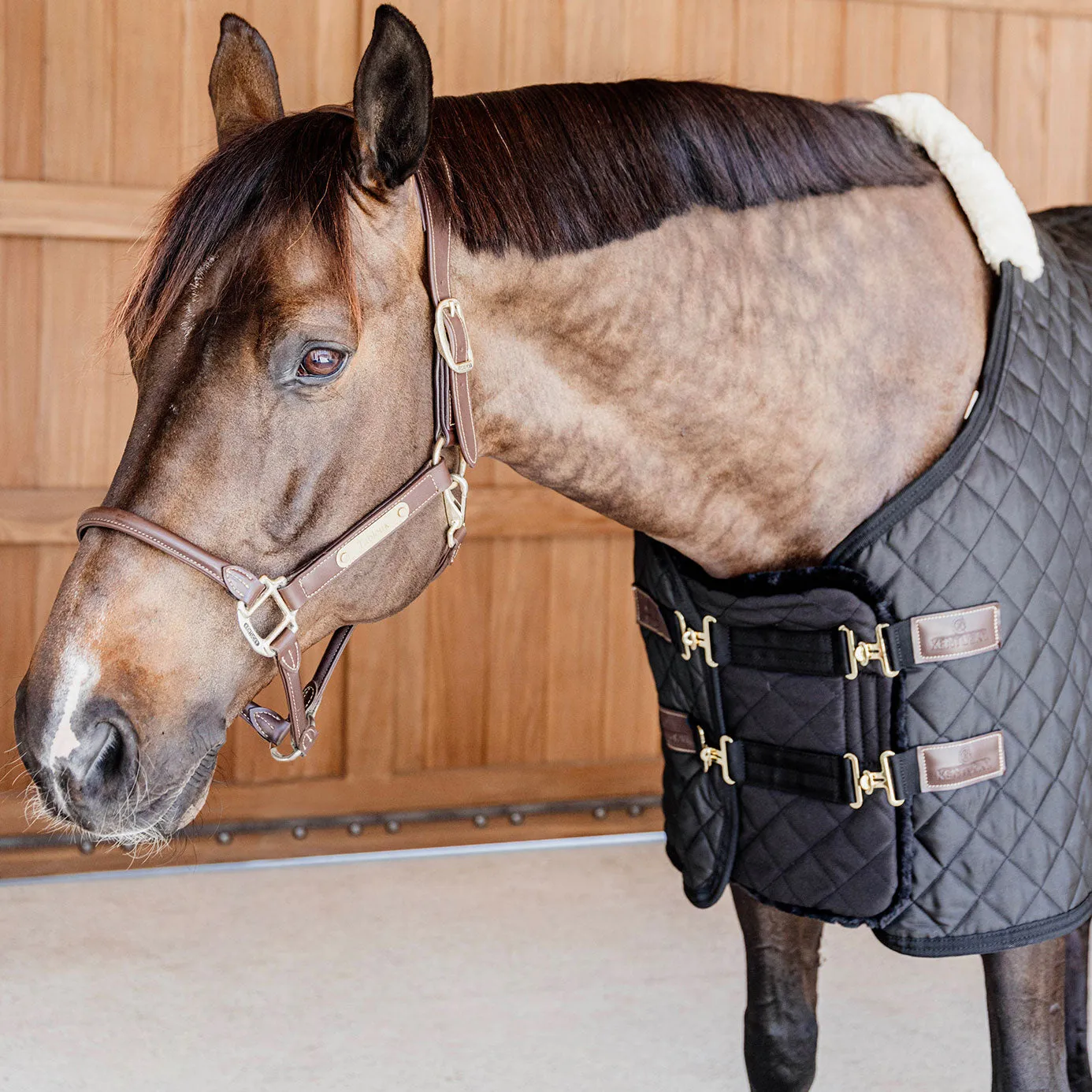 Kentucky Horsewear Quilted Sheepskin Chest Expander - Black