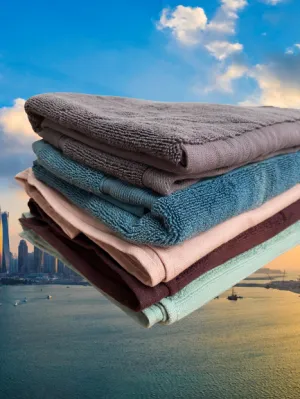 Lot of 5 Bed Bath & Beyond *Display* Towels