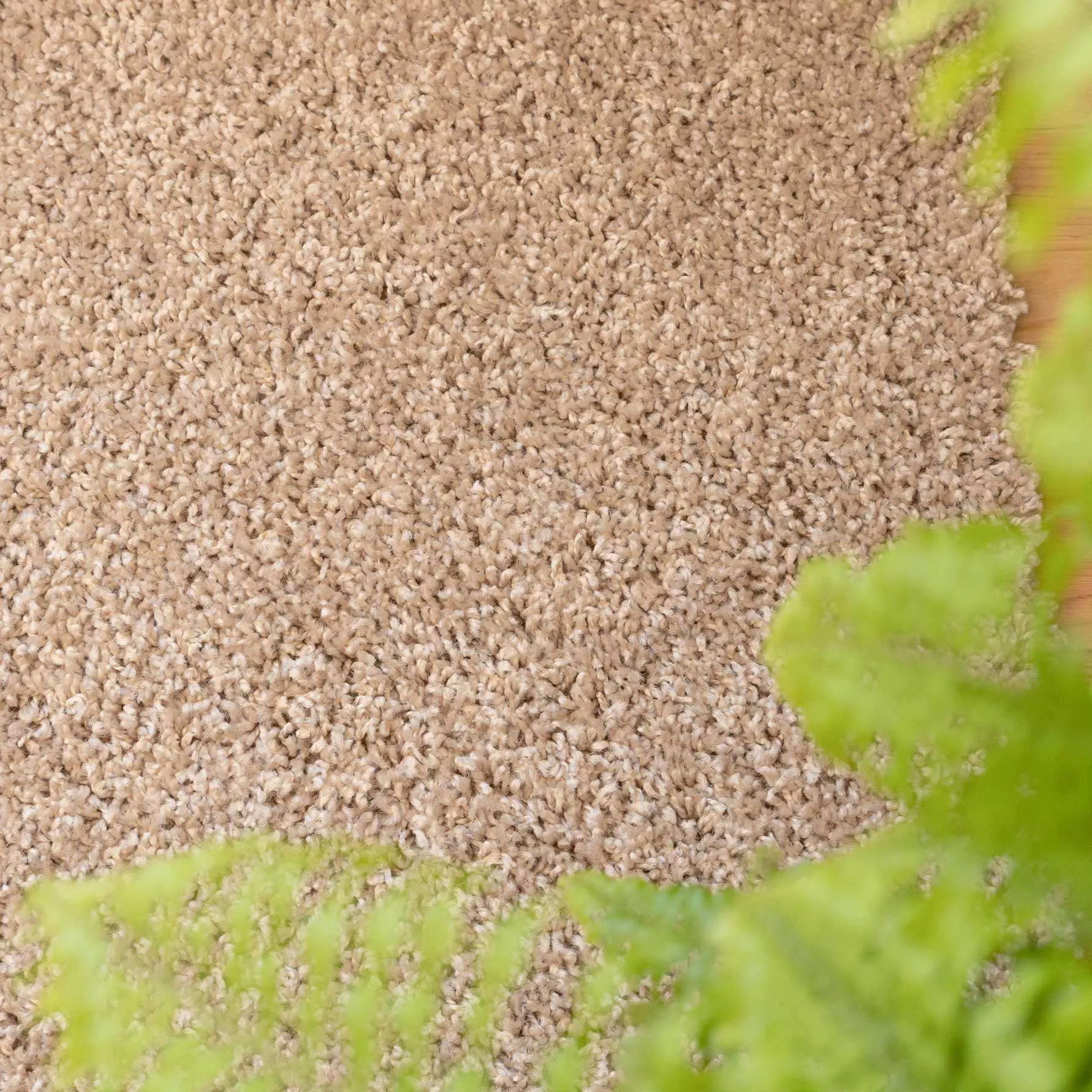 Oatmeal Shaggy Circle Rug