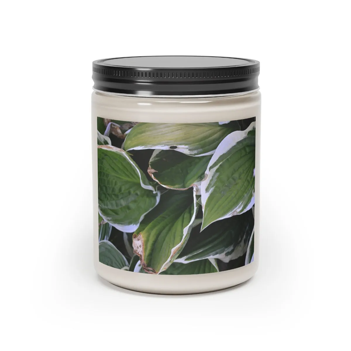 Scented Candle, 9oz