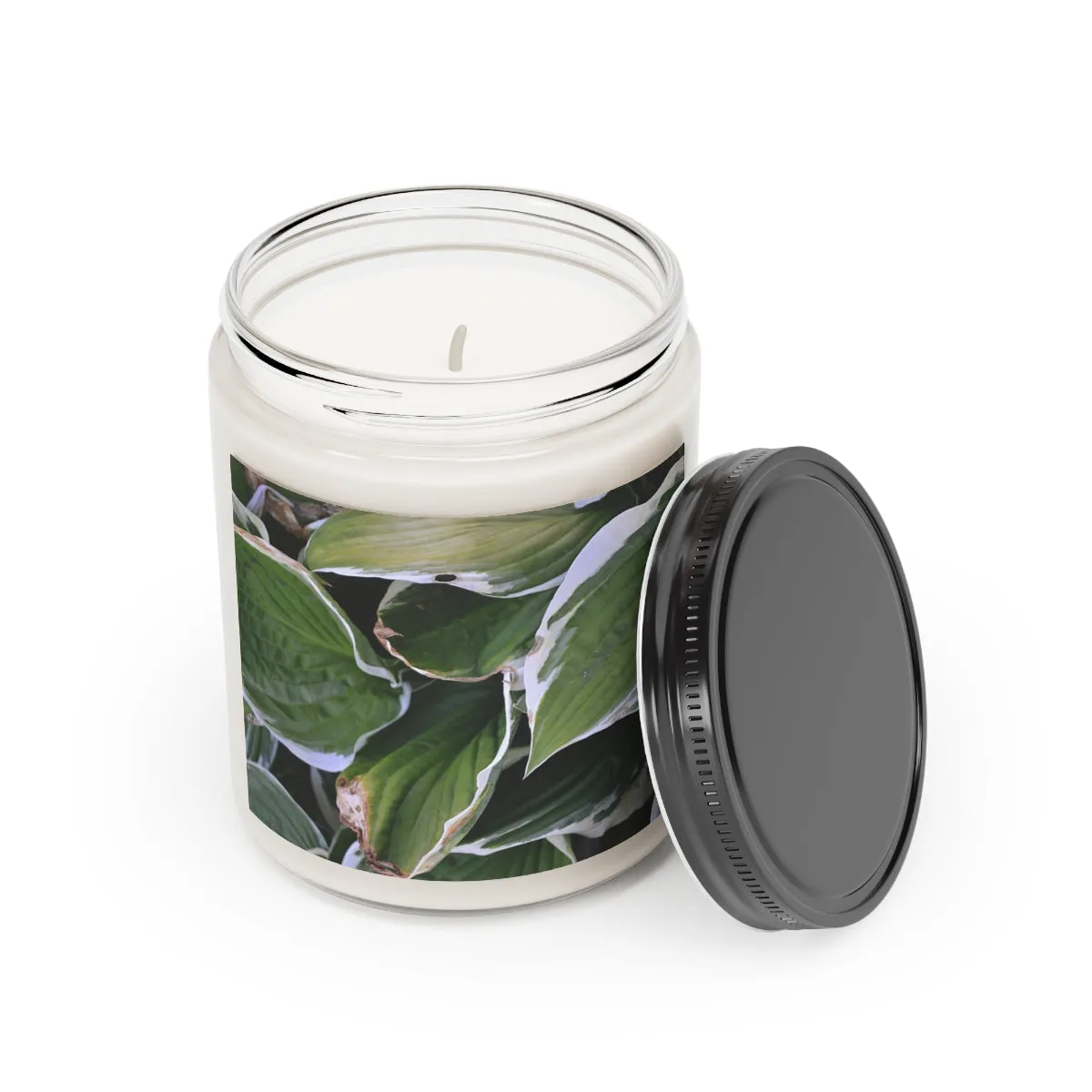 Scented Candle, 9oz