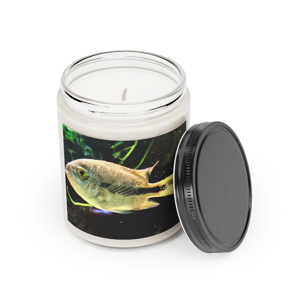 Yellow Black Fish Scented Candle, 9oz