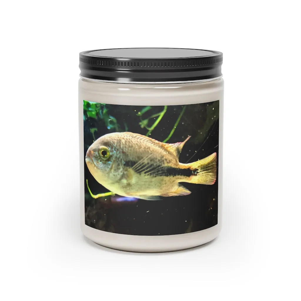 Yellow Black Fish Scented Candle, 9oz